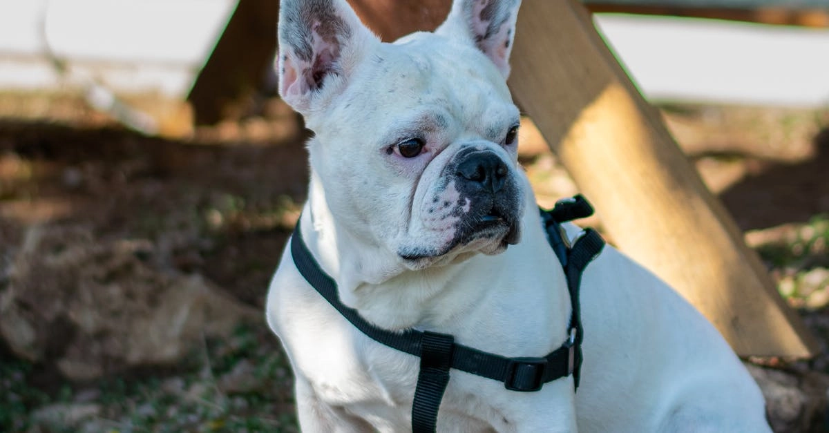 Программы лояльности казино с бонусами без депозита